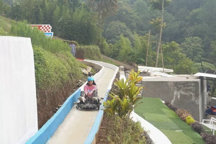 Wahana baru Forest Kopi Batang, Avante Coaster/ Muslihun kontributor Batang.