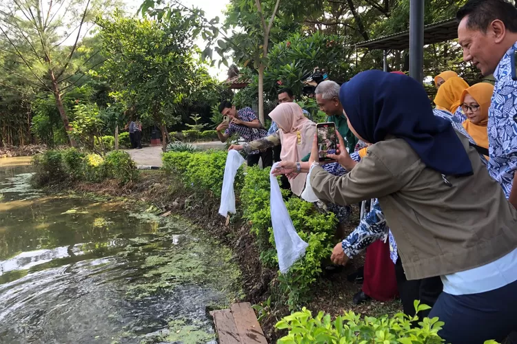 1.000 bibit ikan ditebar di saluran taman kalireyeng Kebondalem Kendal Selasa 19 desember 2023 memperingati Hari Ibu.  ((edi prayitno/kontributor Kendal))