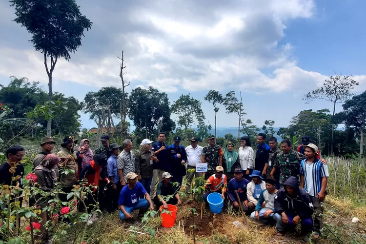 Penanaman pohon alpukat oleh Jasa Tirta bersama PLN Indonesia Power di daerah Greenbelt Rawa Pening.  ((Jasa Tirta))