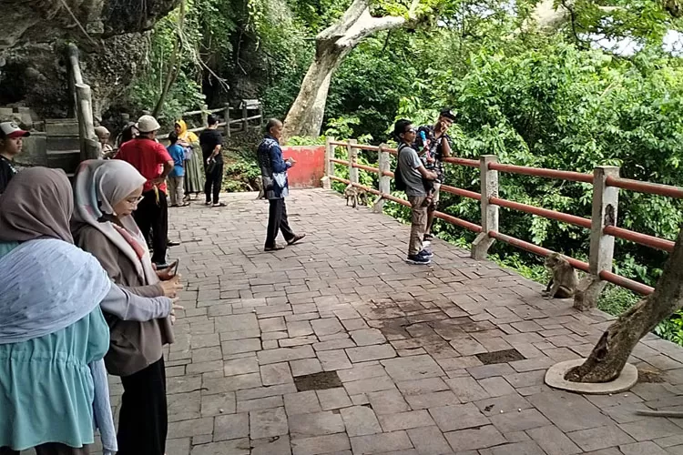 Pengunjung saat bercengkarama bersama monyet Goa Kreo Semarang saat libur natal kemarin. 