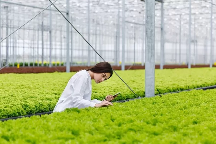 Peluang Banget! Ini Dia Prospek Kerja Jurusan Agroteknologi, Bisa Jadi ...