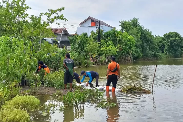 Pemasangan tanggul dari karung berisi pasir yang ditempatkan di sebelah barat perumahan RSS Langenharjo untuk cegah genangan banjir. (edi prayitno/kontributor Kendal)