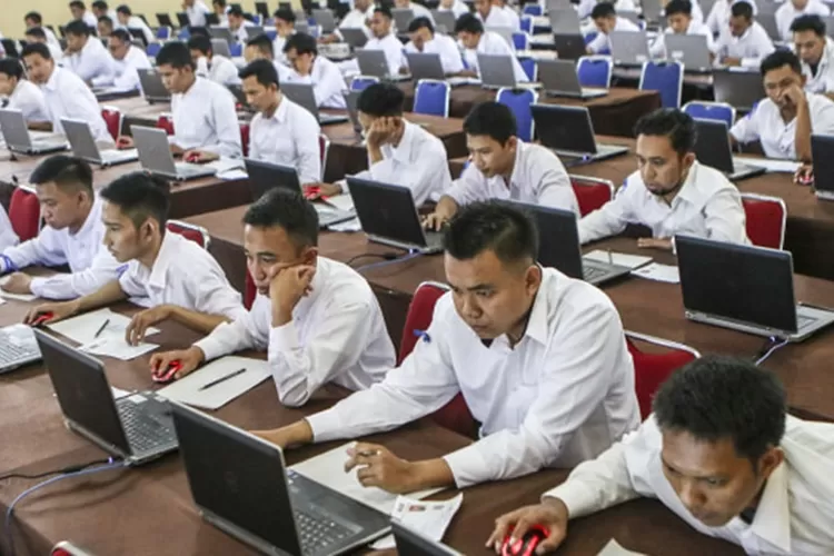 tips belajar tes CPNS 2024 agar lolos sekali coba.  (istimewa)