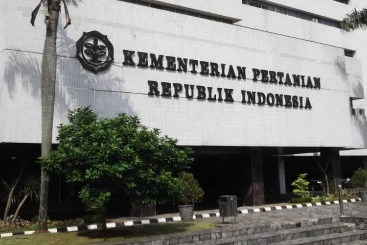 Bocoran Formasi CPNS 2024 Kementerian Pertanian Minimal SMA Cek Persyaratan dan Pendaftaran Via SSCASN