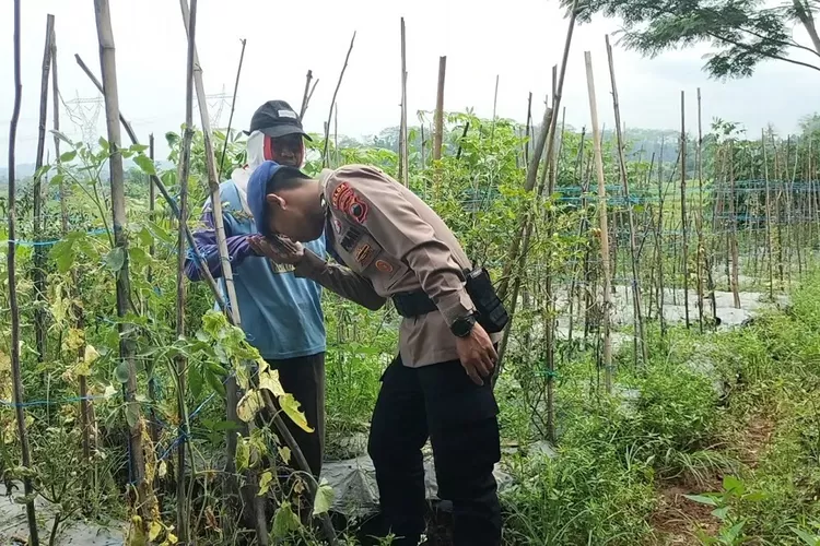 Kisah Inspiratif Muhammad Fahrudin Suyuti Anak Petani Pemuda Desa Beji, Batang dari Jualan Tempe Sukses Wujudkan Impian Jadi Anggota Polri