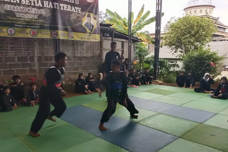 Pusat Latihan PSHT Kecamatan Patean menyiapkan pesilat  di Pekan Olahraga Daerah Kendal.  (Edi Prayitno/kontributor Kendal)