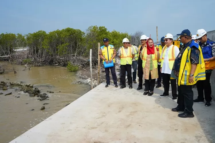 Wali Kota Semarang Hevearita Gunaryanti Rahayu saat meninjau pembangunan sheet pile di Tambaklorok.  (Humas Pemkot)