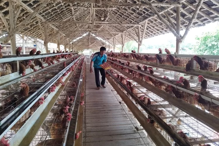 Klaster Usaha Ini Berkembang Berkat Program BRI KlasterkuHidupku