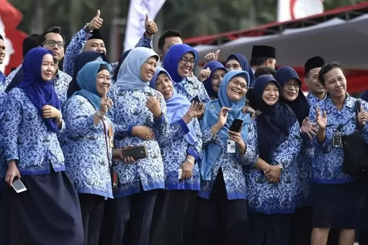 CPNS 2024 Dibuka untuk Fresh Graduate Ini Cara Cek Jurusan Formasi