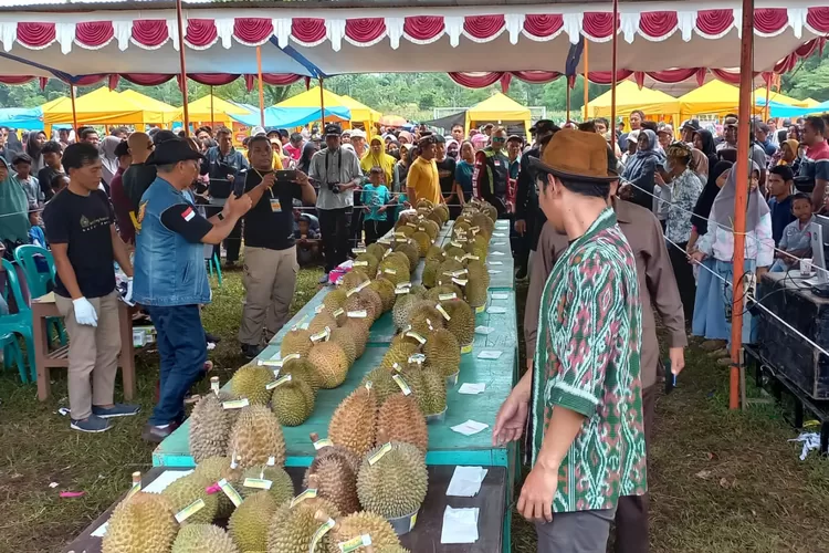 Durian lokal Kebongembong tidak kalah dengan durian dari daerah lain. (Edi Prayitno/kontributor Kendal)