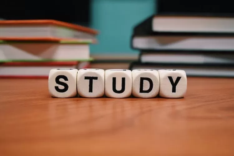 soal latihan UTBK SNBT 2024 yang lengkap dengan kunci jawaban (pexels)