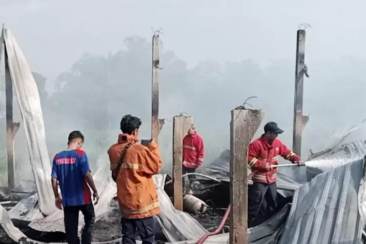 Petugas pemadam kebakaran saat memadamkan api di peternakan ayam di Desa Kaligading Boja Selasa 30 Januari 2024.  ((edi Prayitno/ kontributor Kendal))
