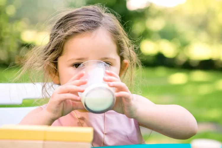 Susu yang diminum anak mengandung gula yang tinggi maka ditakutkan anak-anak menjadi obesitas.  (istimewa)