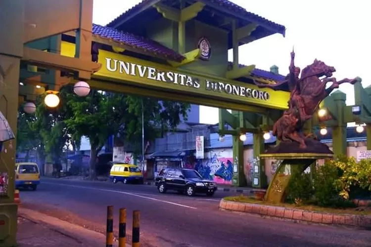 Jurusan Sepi Peminat Undip SNBT 2024 (facebook fanspage undip)