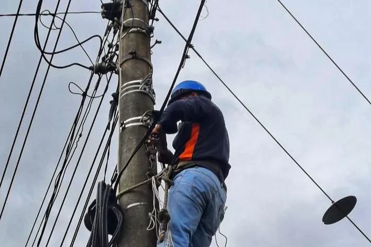 PLN Icon Plus Strategic Business Unit (SBU) Regional Jawa Bagian Tengah melaksanakan kegiatan patroli jalur utilitas kabel.  (dok PLN Icon Plus)