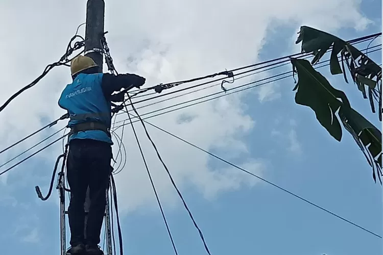 PLN Icon Plus rutin melakukan Penataan dan Perapihan atas Pemanfaatan dan Penggunaan Aset Ketenagalistrikan (P3AK) di kantor strategic business unit seluruh Indonesia.  (dok PLN Icon Plus.)