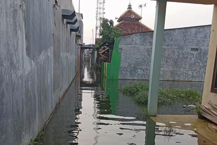 Kelurahan Poncol Kota Pekalongan langganan banjir rob (Dok)
