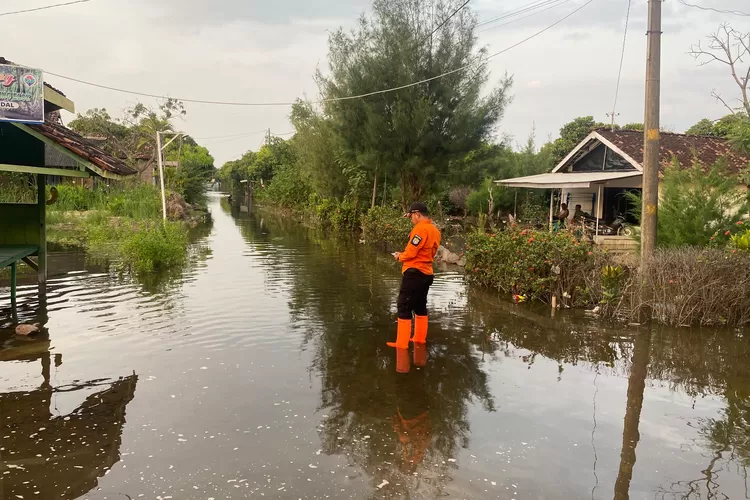 BPBD Kendal melakukan pemantauan di lokasi banjir rob Desa Kartika Jaya Patebon.  (Edi prayitno/kontributor Kendal)