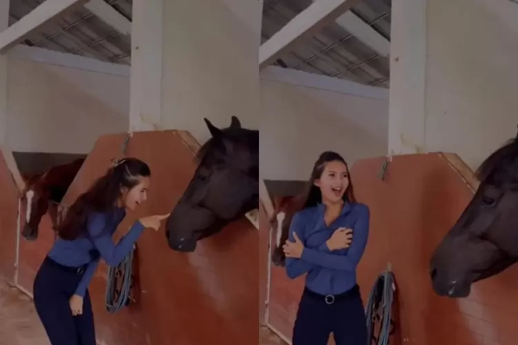 Video bagian sensitif Soraya Rasyid digigit kuda (TikTok/ponexxx)