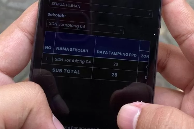 SD Jomblang 04 masih terdaftar di website PPDB SD Kota Semarang 2024 padahal sudah tutup. (istimewa)