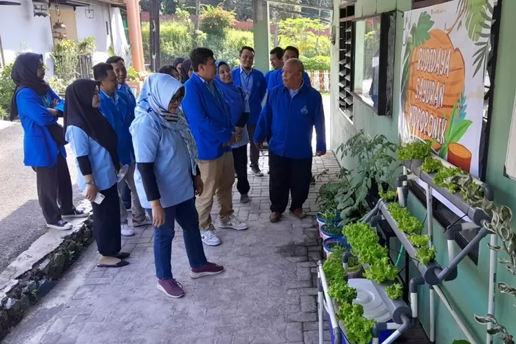 Tanaman Hidroponik yang diajarkan oleh Mahasiswa KKN Unpand Semarang di Kelurahan Sumurejo Gunungpati.  (Ayosemarang.com/ Audrian Firhannusa)