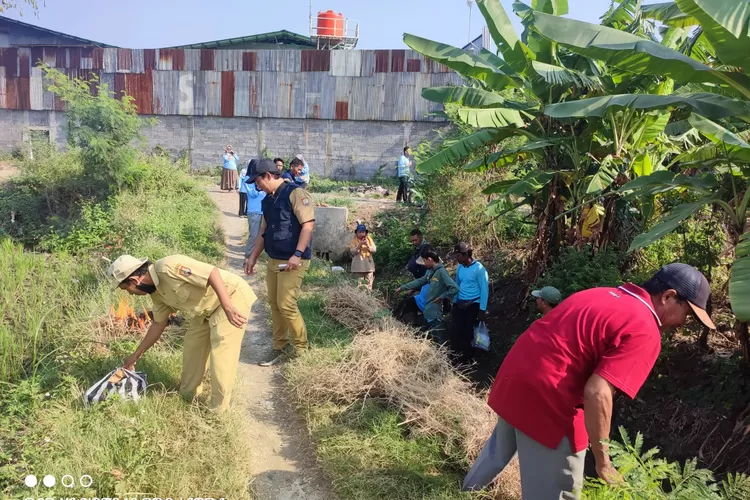 Warga melakukan aksi gropyokan sarang tikus di daerah Gili Gede Desa Kumpulrejo Kaliwungu.  (edi prayitno/kontributor Kendal)