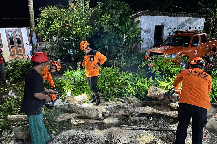 Petugas gabungan BPBD dan PMI Kendal membersihkan pohon yang tumbang melintang jalan &nbsp;di Dusun Kauman Desa Jatipurwo Rowosari.  (edi prayitno/kontributor Kendal)