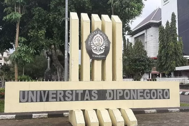 Trendi di X video KKN Undip viral yang banyak dicari betizen. (istimewa)