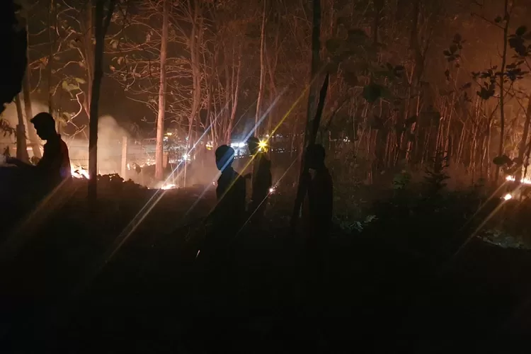 Kobaran api yang membakar lahan di kebun milik warga di Desa Blorok Brangsong.  (edi prayitno/kontributor Kendal)