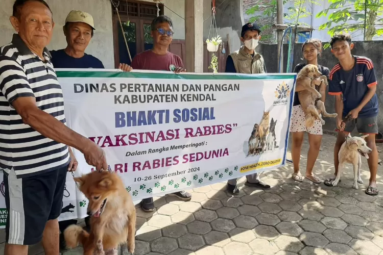 Dispertan Kendal akan laksanakan vaksinasi rabies, dalam peringati hari rabies sedunia 2024.  (dokumen)