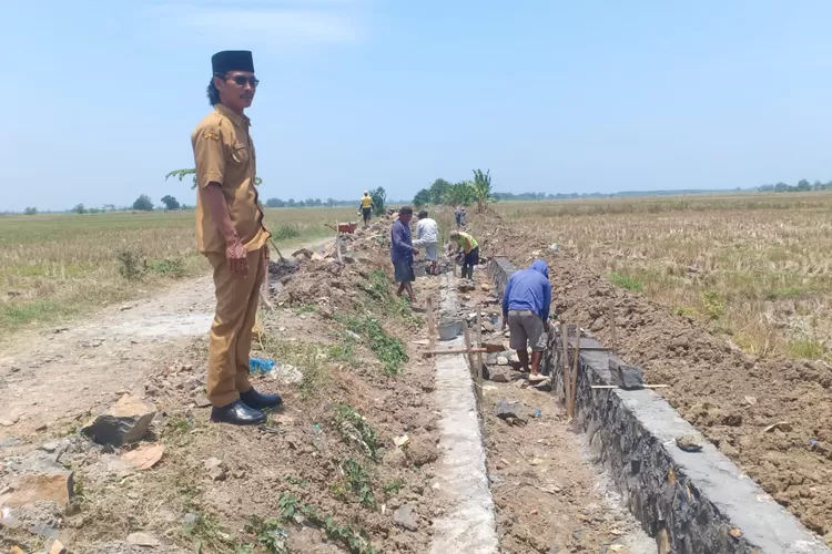 Pemdes Kaliayu Kecamatan Cepiring laksanakan pembangunan P3-TGAI di Blok Tayu.  (edi prayitno/kontributor kendal)