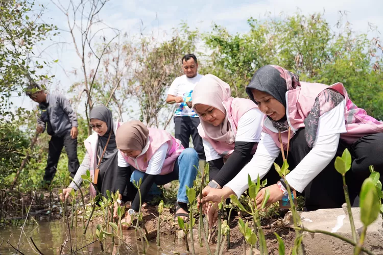 PLN Icon Plus SBU Regional Jawa bagian Tengah menyerahkan 1.000 bibit mangrove yang akan diberikan kepada Grand Maerakaca.  (dok PLN Icon Plus.)