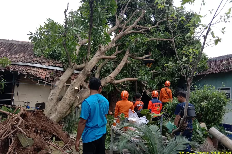 Tim SAR gabungan memangkar pohon tumbang yang menimpa rumah di Desa &nbsp;Gempolsewu Kecamatan Rowosari Selasa 10 desember 2024.  (edi prayitno/kontributor kendal)
