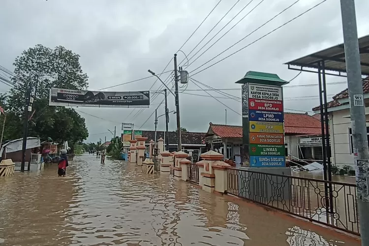  Banjir di depan Balai Desa Sidorejo dan Puskesmas Brangsong Kamis 6 Februari 2025.  (edi prayitno/kontributor kendal)