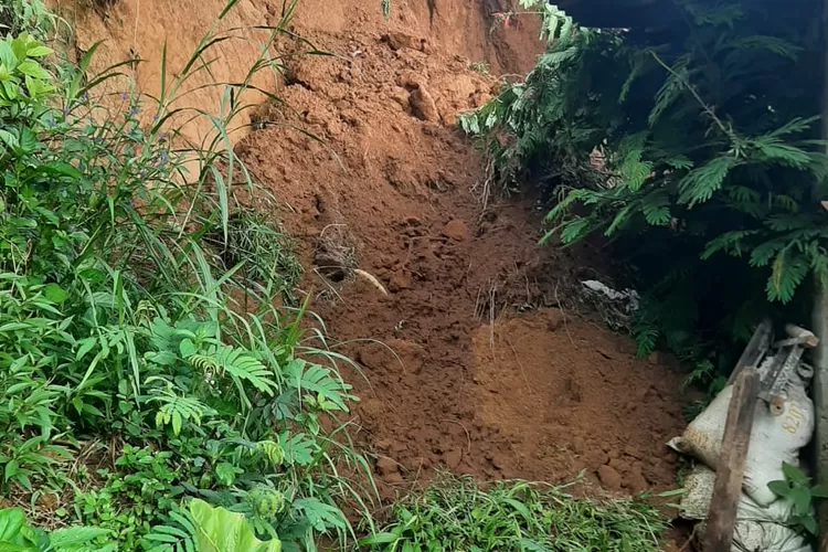 Talud yang longsor di Dusun Plalar Desa Bringinsari Kecamatan Sukorejo.  (dokumen)