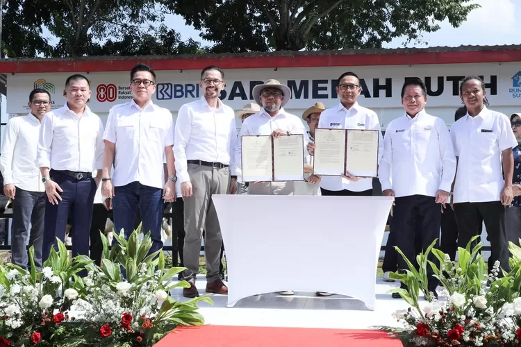 BRI Gandeng Moosa Genetics untuk Kembangkan Sapi Merah Putih