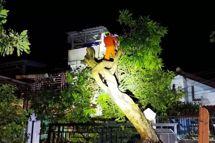 Petugas BPBD Kendal memangkas pohoh yang tumbang di sejumlah titik di Weleri Minggu 28 september 2025 malam.  (dokumen)