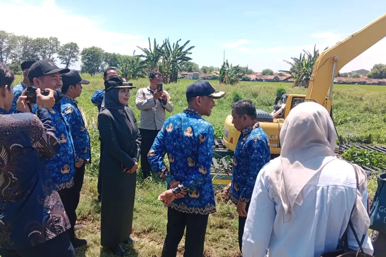 Bupati Kendal melihat proses kerja bakti pembersihan eceng gondok di sungai Kalibuntu Rabu 01 Oktober 2025.  (edi prayitno/kontributor kendal)