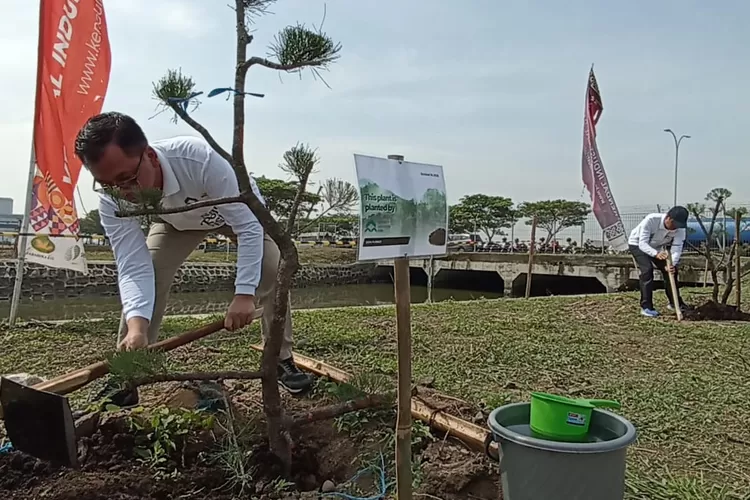 Direktur PT KIK bersama Kepala DLHK Jawa Tengah menaman cemara laut di kawasan indutsri Jumat 24 Oktober 2025.  (edi prayitno/kontributor kendal)