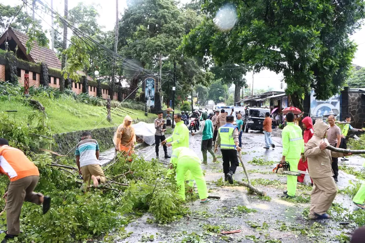 Respon Cepat Polres Salatiga Tangani Pohon Tumbang Di Sejumlah Titik (Humas Polres Salatiga Polda Jateng)