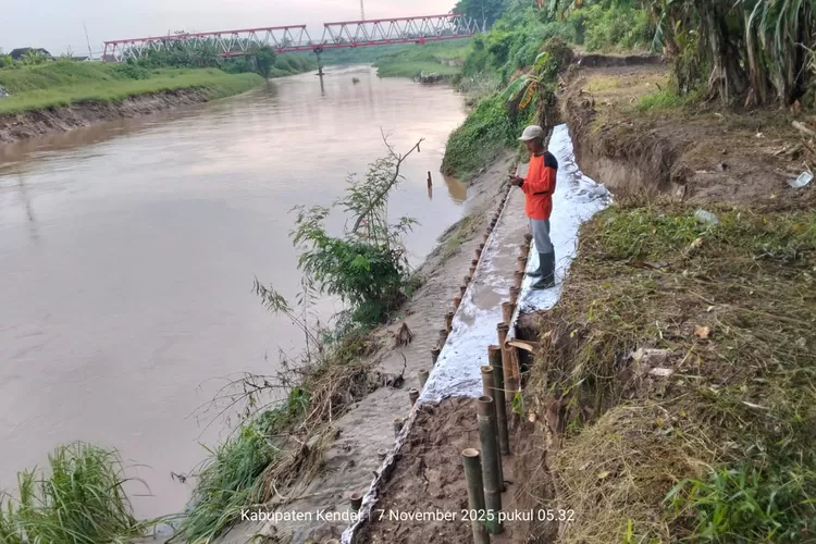 Trucuk bambu dipasang di tanggul kali bodri yang mulai longsor.  (dokumen  &nbsp;)
