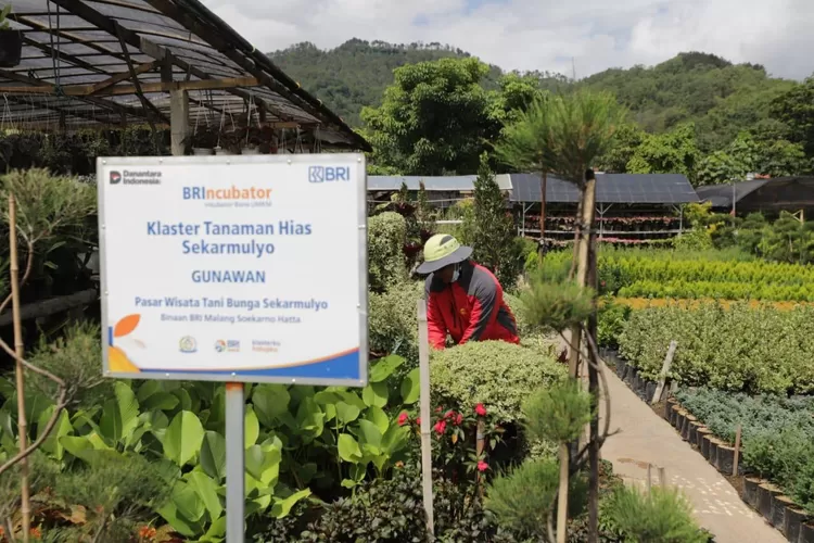 Ekonomi Kerakyatan Makin Kuat, BRI Salurkan Pembiayaan Ultra Mikro Rp632 Triliun