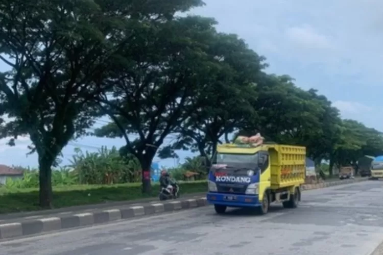 Jalur Pantura rawan kecelakaan di Kabupaten demak akan dipsangi lampu PJU. (Instagram beritasemaranghariini)