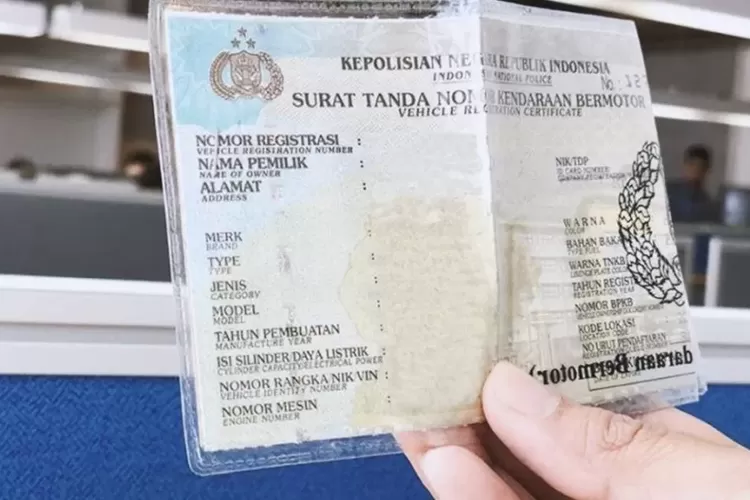 Daftar provinsi yang menggelar pemutihan pajak kendaraan 2025. Bebas denda, tunggakan lama dihapus, bayar pajak tahun berjalan. (Istimewa )