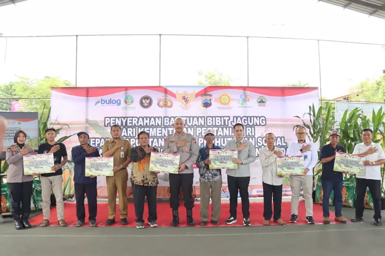 Penyerahan bantuan bibit jagung kepada Gapoktan Kendal.  (edi prayitno/kontributor kendal)