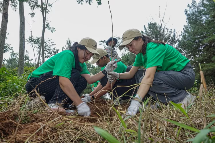 Aksi Nyata Hijaukan Hutan Tanam 1.000 Pohon di Jawa Tengah