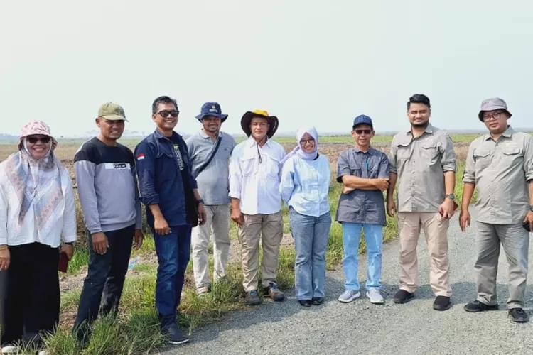 Ketahanan Pangan Nasional: Palangkaraya Menuju Swasembada Pangan ...