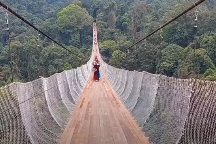 Jembatan Gantung Terpanjang Se-Asia Tenggara Hadir Di Indonesia, Punya ...