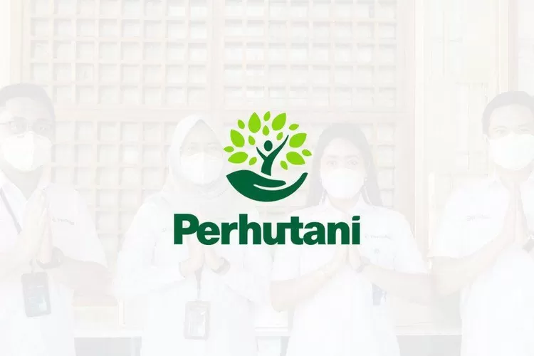 Gaji dan Tunjangan Karyawan PT Perhutani (lokerbumn24.com)