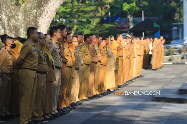 Hore! BKN Resmikan Aturan Kenaikan Pangkat PNS Jadi 6 Periode Pakai ...